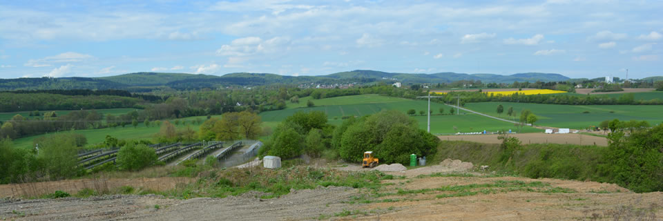 Heesten